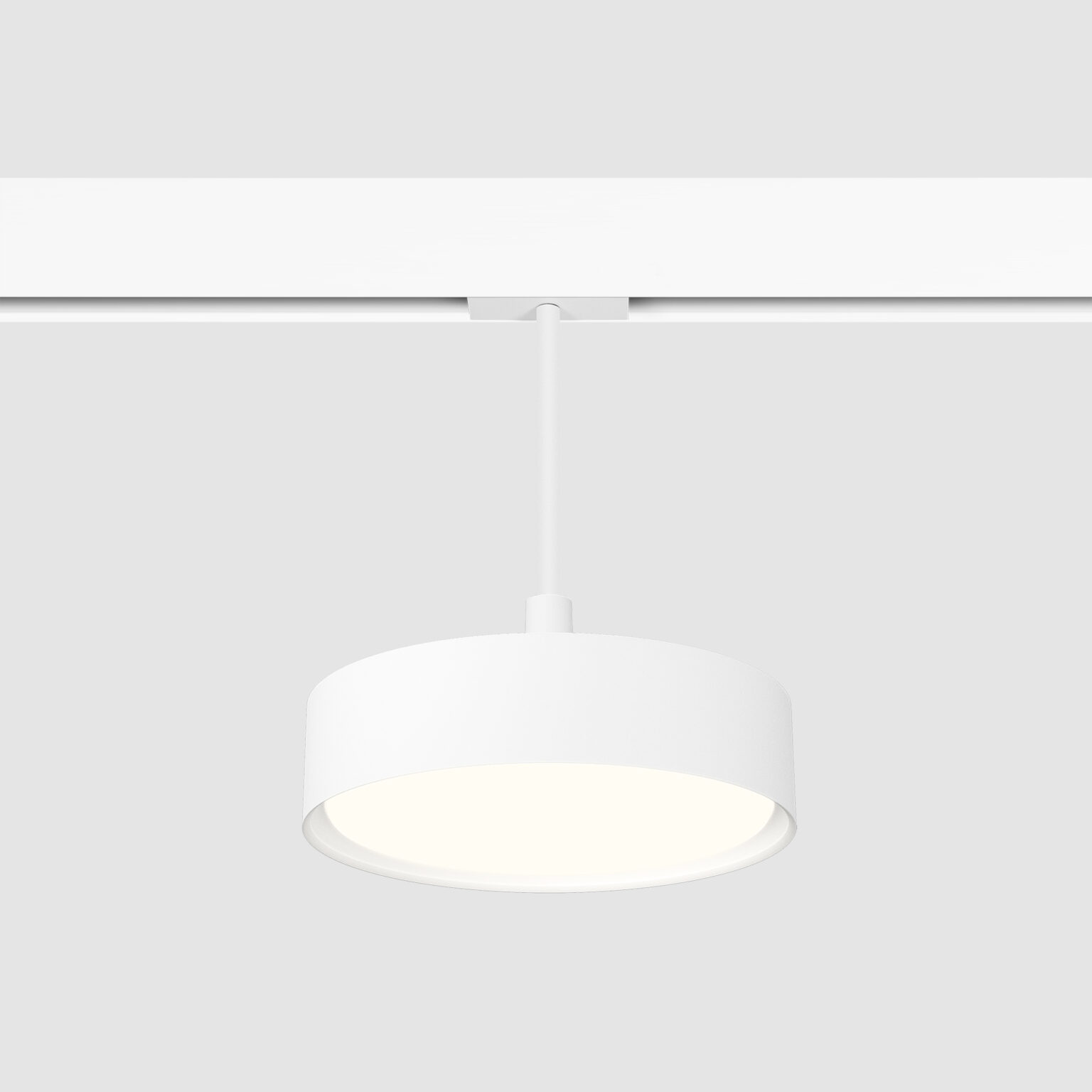 Pivot Shell Round