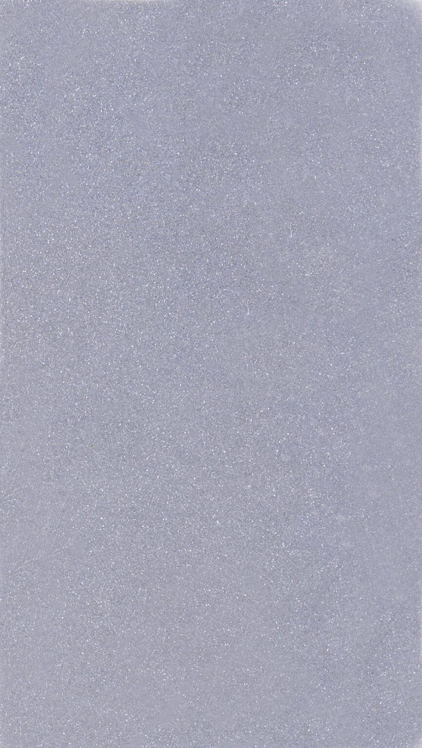 FSSPC - Matte Silver