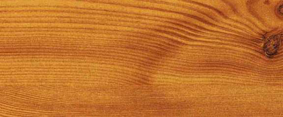 Knotty Pine