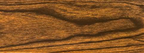 Teak