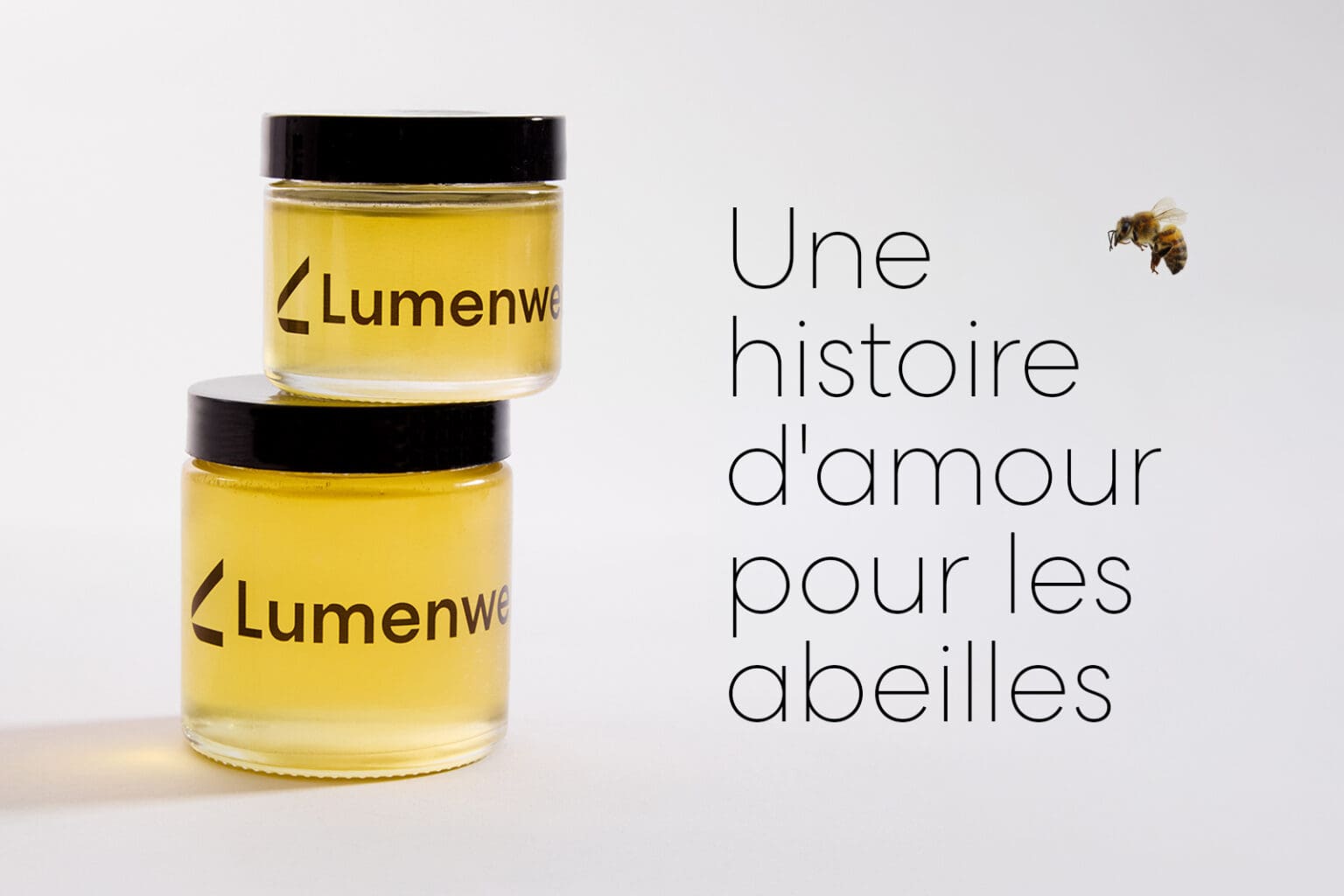 Bee story - honey - abeilles